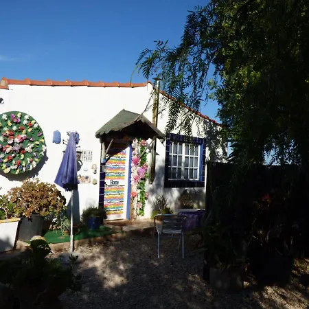Lantgård funky chicken farm Alcantarilha